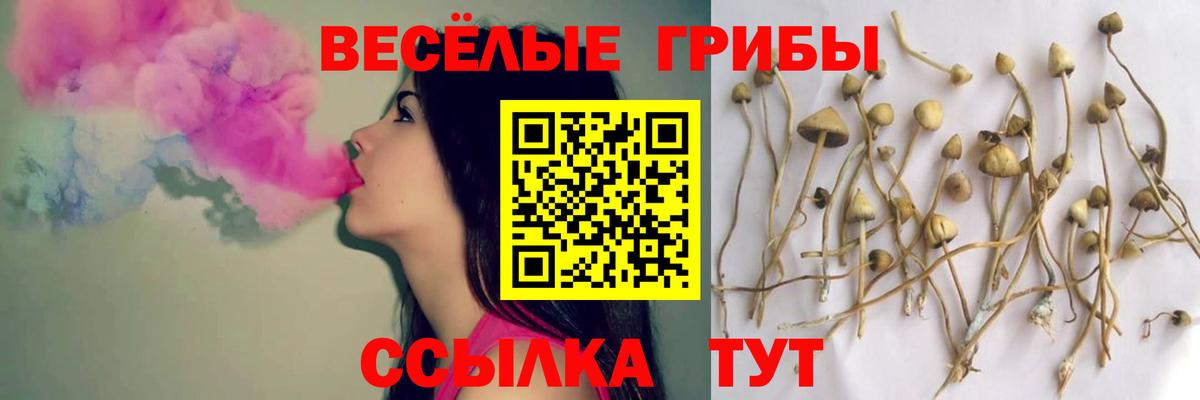 Псилоцибиновые грибы Psilocybe Реж